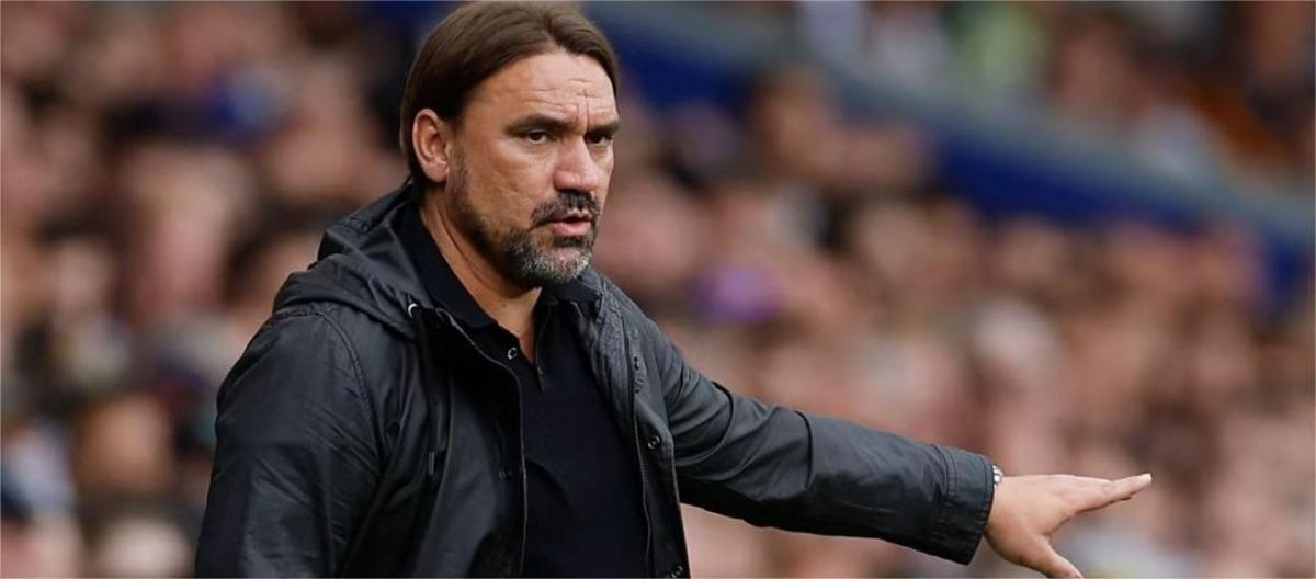 Daniel Falk: Our chances of avoiding relegation look promising; we are on the right track.