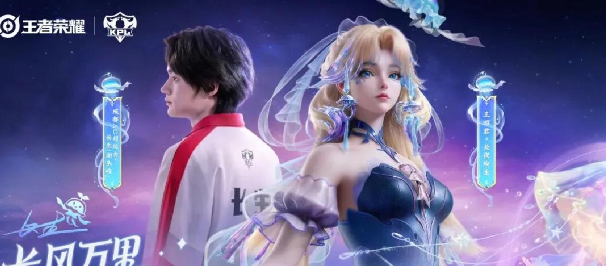 王昭君穿着FMVP强势回归，半肉流折磨刺客，上限易被打压。