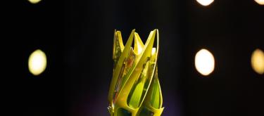 官方：2025年PGL贝尔格莱德站将移至布加勒斯特举办