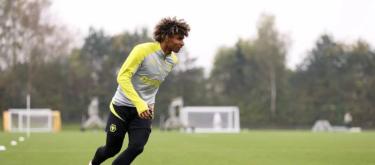 佩德罗·利马分享自己在狼队的成长和适应过程