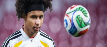 因持有非法武器，阿德耶米公开道歉